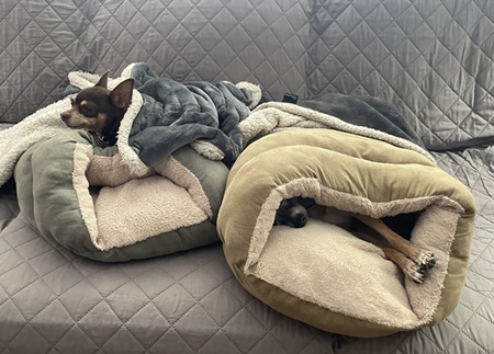 122825 CC scaled.jpg